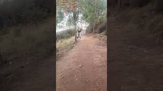 NOSY SOA PARK🙊🙈🙉 comedyvideos nosy [upl. by Dyane]