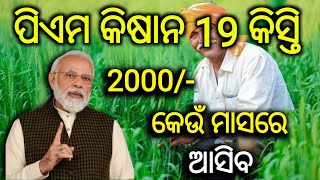 PM Kisan Yojana 19 kishti  PM Kisan Yojana 19 Installment Release Month  ପିଏମ କିଷାନ ୧୯ କିସ୍ତି [upl. by Alyad]