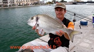 Pêche des grosses dorades de Sète par Europêche34 [upl. by Suoivart121]