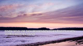 Germanischer Bärenhund – Charakter Erziehung und Kaufberatung [upl. by Nellak]