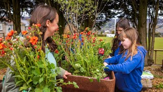 Making a Coronation Container at Forgeside Rugby Club Community Garden  The RHS [upl. by Wenonah]