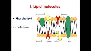 CYTOLOGY REVISION 2020 [upl. by Iorio]