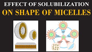 Effect of Solubilization on Shape of Micelles  Chemistry Insights By Dr Usman  ChemClarity [upl. by Assilak]