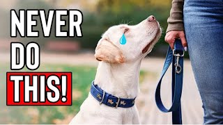 10 Things a Dog Will Never FORGIVE [upl. by Hadeehuat]