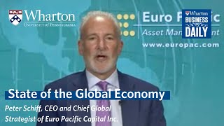 American Stock Broker Peter Schiff on the State of the Economy [upl. by Anolla]