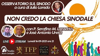 Non credo la Chiesa sinodale [upl. by Shanda]