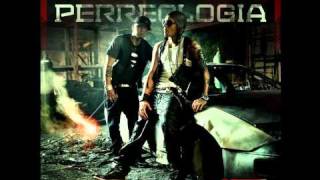 Alexis Y Fido  La Intelectual Perreologia Reggaeton 2011 Letra [upl. by Uzzial]