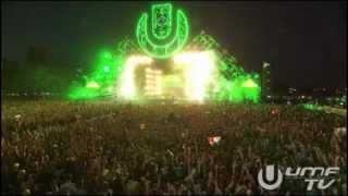 Hardwell  Ultra Music Festival 2013 [upl. by Akerdnuhs55]