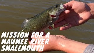 Mission for a Maumee River Smallmouth  feat Fish Fray [upl. by Assenna]