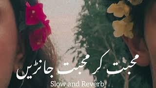 Mohabbat  Kar Slowed and Reverb   Zeeshan Khan Rokhri  New Saraiki Song 2024 [upl. by Gordy]