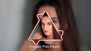 Hobbak Mali Hayati  ReMix 2024 By  Rami Al Monsour [upl. by Ahsiad]