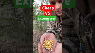 cheap VS expensive deer corn deerhunting deer deercorn corn [upl. by Yarb853]