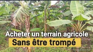 Comment acheter les terrains agricoles en Afrique [upl. by Sontag146]