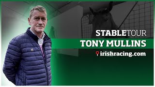 Tony Mullins Stable Tour  February 2023 [upl. by Cocks]