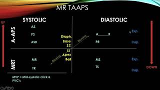 Heart Murmurs Made Easy revised Now With Pediatric Chart and 35 Example Questions [upl. by Naquin89]