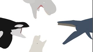 aircraft orca vs aircraft beluga vs leviathan vs airplane fin whale [upl. by Shih]