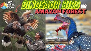 IBON MUKANG DINOSAUR  Top 11 Strange Birds of Amazon Jungle [upl. by Velda]