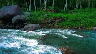 Relax Instantly with Serene Waterfall and River Flow Ambience [upl. by Neuberger]