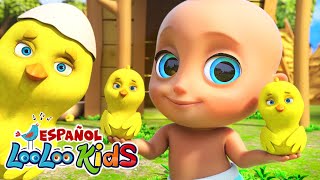 Los Pollitos Pio Pio  Canciones Para Niños  Canciones Infantiles En Español  Dibujos Animados [upl. by Yenahpets]