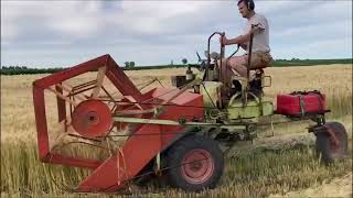 Owatonna Swather Cutting Barley [upl. by Lanos]