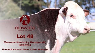 Lot 48 Mawarra Kentucky Bourbon S281 H [upl. by Emerej]