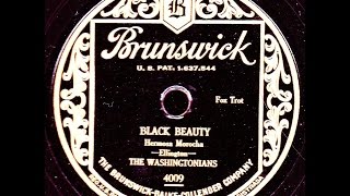 Duke Ellington as The Washingtonians Black Beauty 1928 [upl. by Cuthbert]