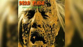 va  1993  dead flesh split fonomusic brutal death [upl. by Plank662]