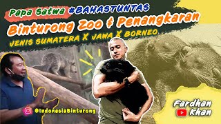 BINTURONG JAWA X SUMATERA X BORNEO BAHASTUNTAS EPS11 [upl. by Llenehc]