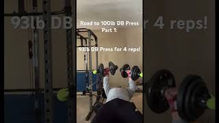 Road to 100lb DB Press Part 1 viralshorts bodybuilding powerlifting shorts samsulek gym [upl. by Ferrigno]