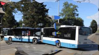 Rollmaterial der Verkehrsbetriebe Zürich VBZ [upl. by Silverstein]