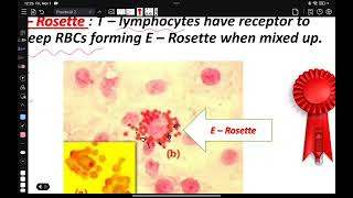 شرح عملي المايكرو الثاني immune assay سارة سامي [upl. by Yendor127]