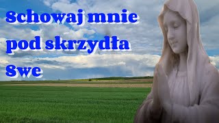 Schowaj mnie pod skrzydła SweKocham Polskę Tu mi dobrze [upl. by Drolet]