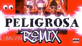 Peligrosa  J balvin REMIX Dj OKR style  Wisin y Yandel [upl. by Aehr]