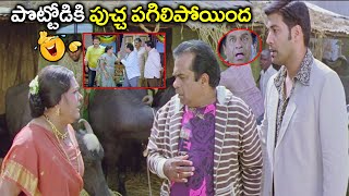 Brahmanandam Non Stop Back to Back Hilarious Comedy Scenes  Telugu Latest Evergreen comedy Scenes [upl. by Burkitt]