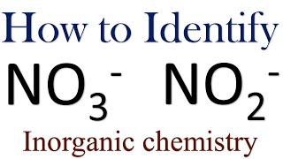 NO3 and NO2 Identification Inorganic chemistry test inorganic chemistry [upl. by Lleneg]