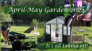 AprilMay Garden Time flies Its time for transplantingplanting tomatoes corn cabbage and more [upl. by Aidyn52]