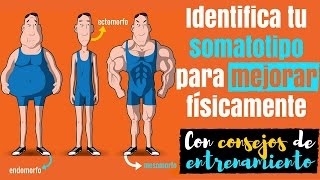 Identifica tu somatotipo para mejorar físicamente Con consejos de entrenamiento [upl. by Mila]