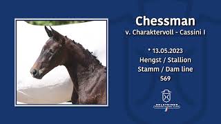 Foal AuctionFalsterbo Horse Show  Nr 09 Chessman [upl. by Philbin241]