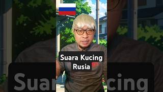 Negara Rusia Suara Kucing kayak gini negara bendera countryballs kucing russia [upl. by Lou114]