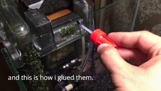 how to glue moss  fissiden  aquatic plant [upl. by Zilevi]