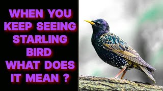 WHEN YOU KEEP SEEING A STARLING BIRD WHAT DIES IT MEAN [upl. by Aley]