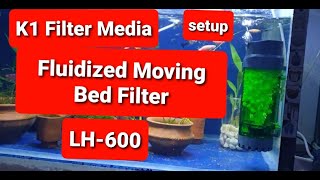 Fluidized Moving Bed Filter  setup  LH600  K1 filter Media With Sponge Filter  Hindi [upl. by Nylteak]