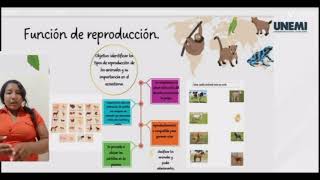 Diseño curricular y diversidad escolar plan de clases [upl. by Mastrianni]