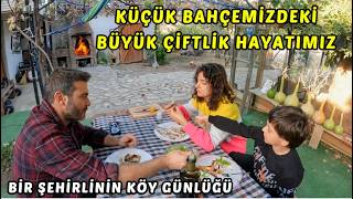 KÜÇÜK BAHÇEMİZDEKİ BÜYÜK ÇİFTLİĞİMİZ  BİR ŞEHİRLİNİN KÖY GÜNLÜĞÜ  KÖY EVİMİZ VE KÖY HAYATIMIZ [upl. by Burnaby59]