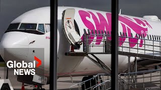 WestJet shuts down Swoop What does the merger mean for air travellers [upl. by Nahta737]