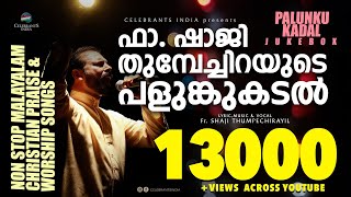 PALUNKUKADAL  Non Stop Malayalam Christian Praise amp Worship Songs  Fr Shaji Thumpechirayil [upl. by Evie]