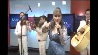 El gorrion y yo MANOELLA TORRES con el MARIACHI REVOLUCIÓN 440 en prog MEXICO CANTA [upl. by Avilla485]