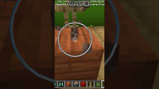 Minecraft tictok hack 😧 [upl. by Mungovan]