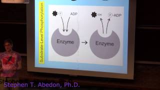 SubstrateLevel Phosphorylation [upl. by Raclima736]