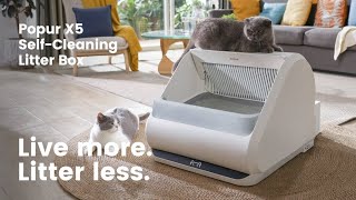 Now on Kickstarter Popur  A Quantum Leap In SelfCleaning Litter Box [upl. by Melli]